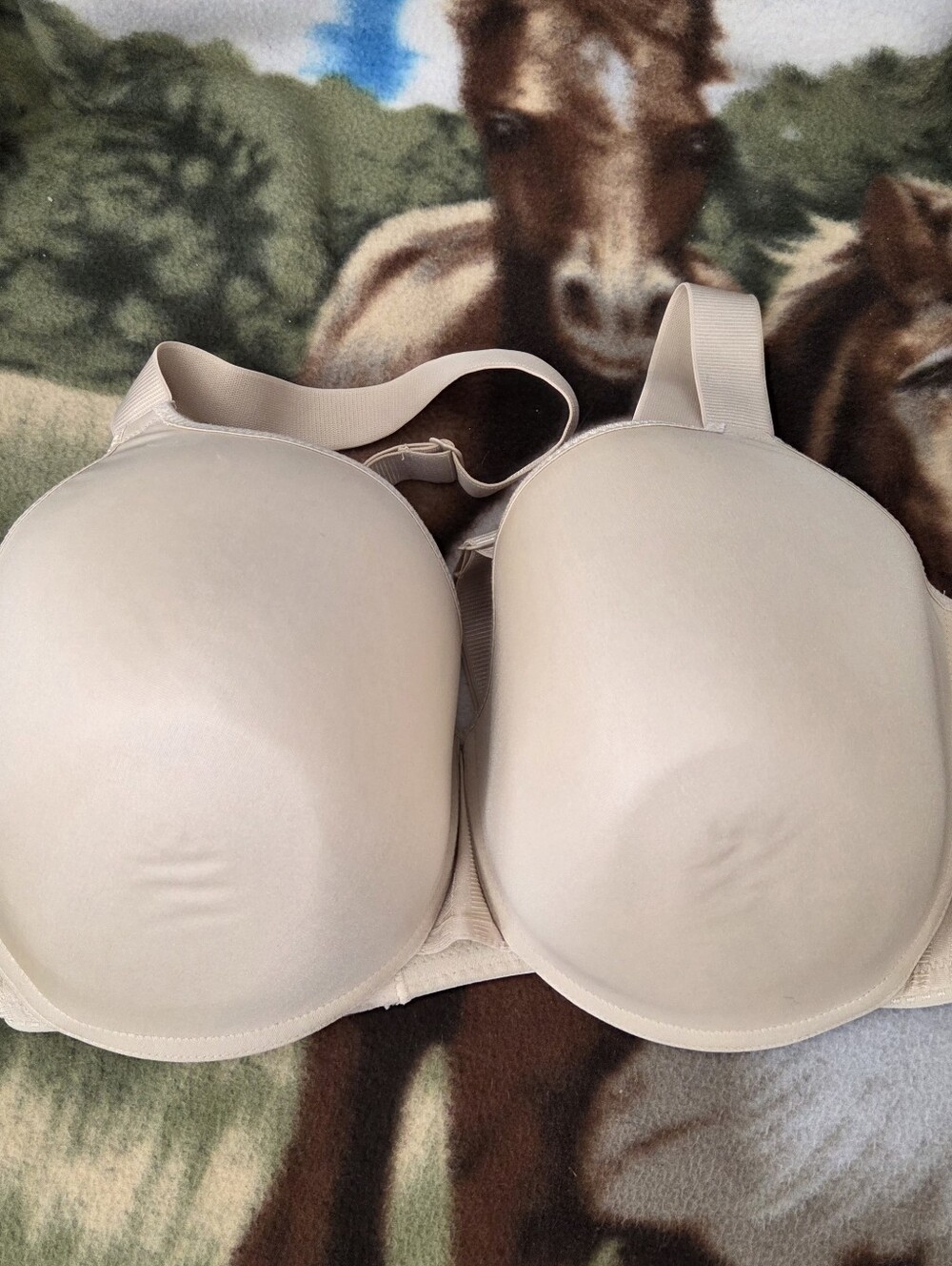 Chantelle Bra 38DD